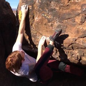 Meet your Posher, Brayden